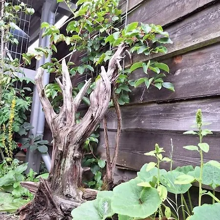 Appartamento Gaestewohnung Kleinstadtperle In Pritzwalk